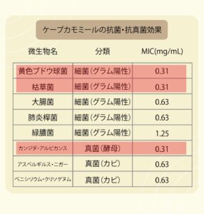 ケープカモミールの抗菌・抗真菌効果
