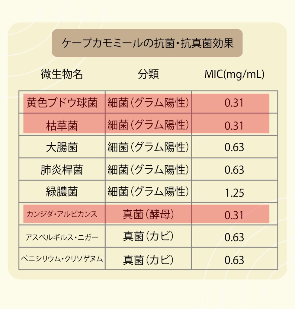 ケープカモミールの抗菌・抗真菌効果