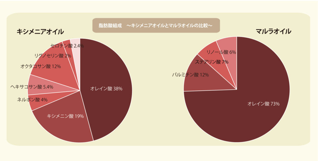 脂肪酸組成 ～キシメニアオイルとマルラオイルの比較～グラフ